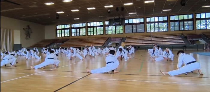 Taekwondo Seminar 